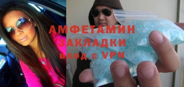 индика Инсар